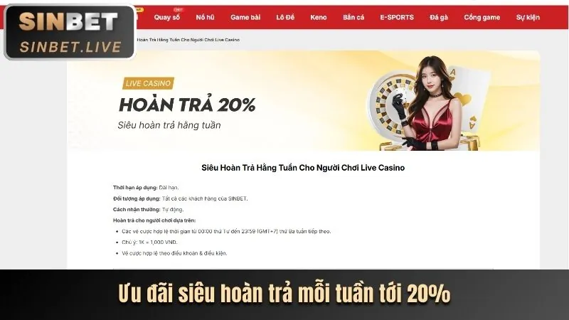 Hoàn trả hàng ngày AW8